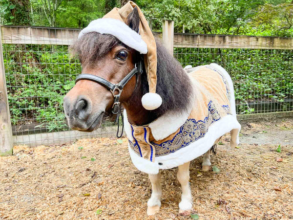 Snöprancer Santa - Santa Costume with Hat and Velvet Embroidered Cape for Mini Horse