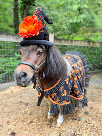 Mariposa at Midnight - Halloween Fantasy Costume for Miniature Horse