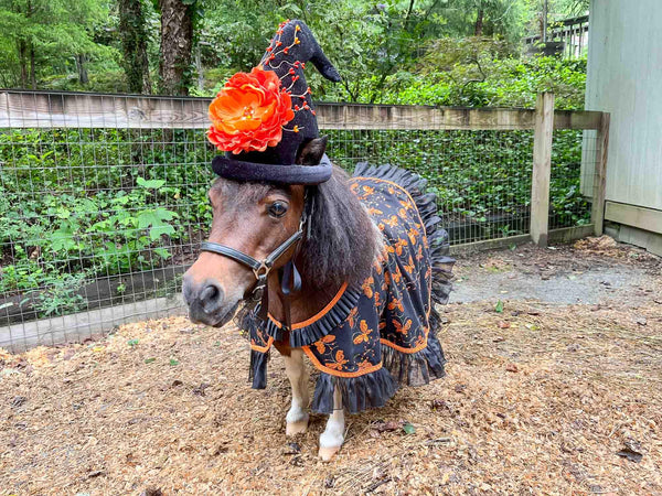 Mariposa at Midnight - Halloween Fantasy Costume for Miniature Horse
