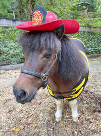 Lil’ Fire Chief - Costume for Mini Horse with Classic Fire Hat and Emergency Jacket