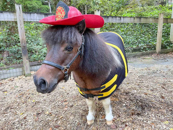 Lil’ Fire Chief - Costume for Mini Horse with Classic Fire Hat and Emergency Jacket