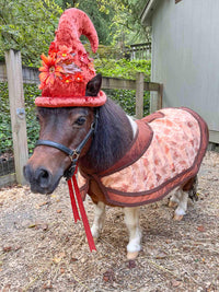 Harvest Hollow Gnome - Halloween Fantasy Costume for Miniature Horse