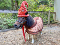 Harvest Hollow Gnome - Halloween Fantasy Costume for Miniature Horse