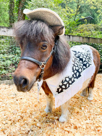 Phantom Wrangler - Fancy Halloween Cowboy Set with Hat, Fringed Shawl and Tail Fascinator