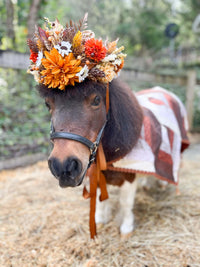 Gratitude and Grace - Thanksgiving Headdress and Quilted Cape for Mini Horse