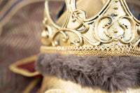 Lord Canterlot the Courageous - Medieval King Costume