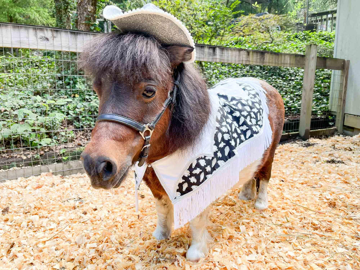 Phantom Wrangler - Fancy Halloween Cowboy Set with Hat, Fringed Shawl and Tail Fascinator