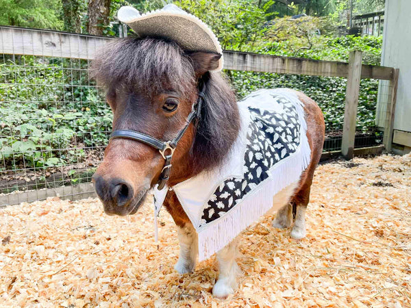 Phantom Wrangler - Fancy Halloween Cowboy Set with Hat, Fringed Shawl and Tail Fascinator