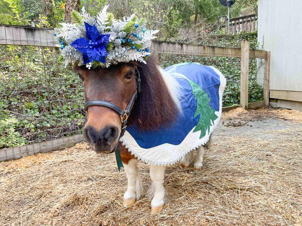 Star of Wonder - Christmas Headdress and Quilted Cape for Mini Horse
