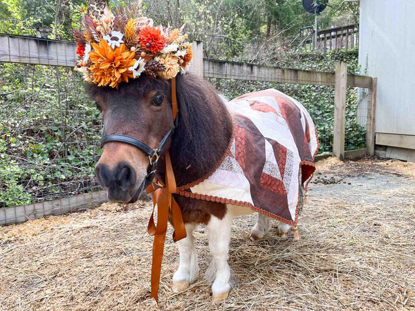 Gratitude and Grace - Thanksgiving Headdress and Quilted Cape for Mini Horse