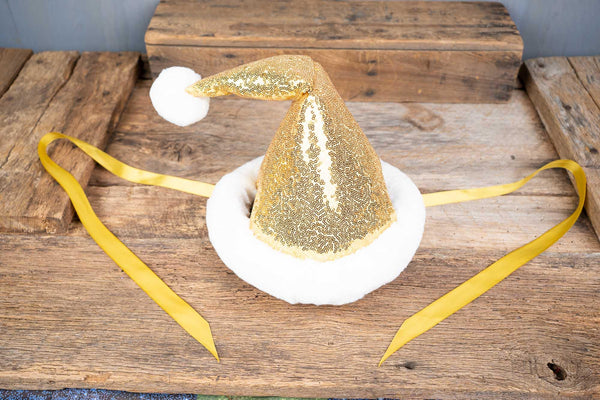 24 Carat Santa - Santa Hat - Christmas Hat for Miniature Horse