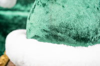 Evergreen and Glorious Santa - Hat and Velvet Embroidered Cape for Mini Horse