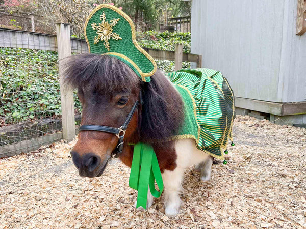 Evergreen, Gold and Glory - Costume with Snowflake Head Piece and Christmas Cape for Mini Horse