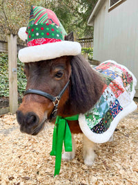 Perfect Patchwork Santa - Costume with Santa Hat and Patchwork Cape for Mini Horse