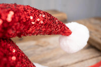 Cherry Sparkle Santa - Christmas Hat for Miniature Horse