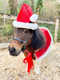 Mini Claus the Merry - Santa Hat and Velvet Embroidered Cape for Mini Horse