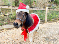 Mini Claus the Merry - Santa Hat and Velvet Embroidered Cape for Mini Horse