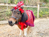 Poinsettia Parade Splendor - Headdress, Cape and Tail Fascinator for Mini Horse