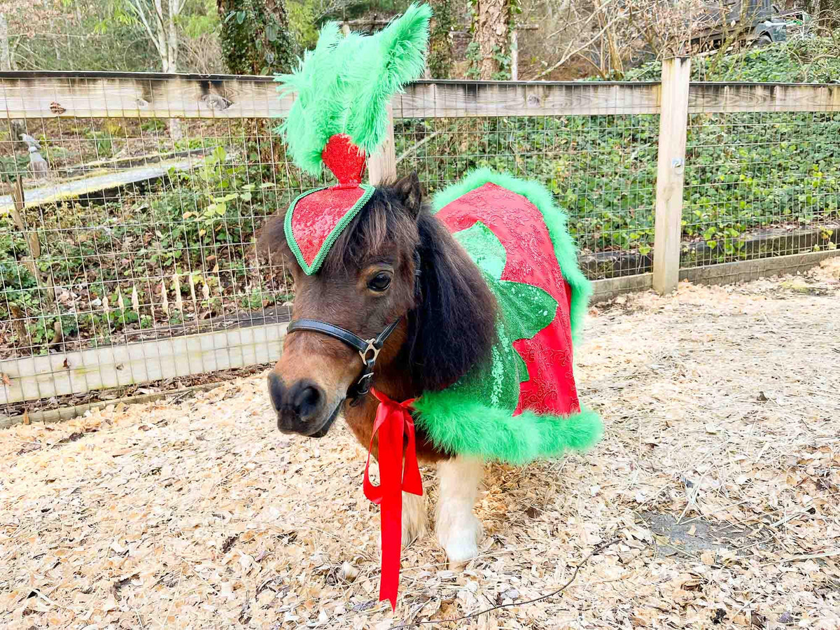 Holly Jolly Follies - Feathered Headdress, Cape and Tail Fascinator for Mini Horse