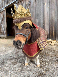 Lord Canterlot the Courageous - Medieval King Costume