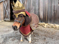 Lord Canterlot the Courageous - Medieval King Costume