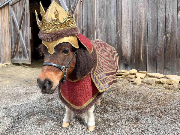 Lord Canterlot the Courageous - Medieval King Costume