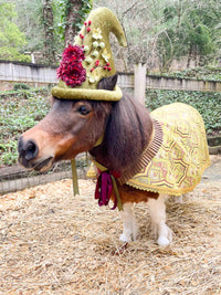 Fairy Monarch of Mossy Grove - Flower Fairy Costume for Miniature Horse