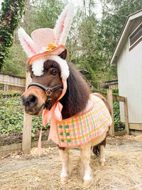 Sir Peaches and Plaid - Costume with Hat, Tuxedo Vest and Cotton Tail for Mini Horse