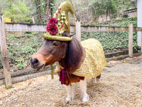 Fairy Monarch of Mossy Grove - Flower Fairy Costume for Miniature Horse