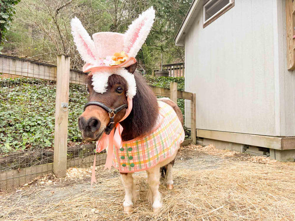 Sir Peaches and Plaid - Costume with Hat, Tuxedo Vest and Cotton Tail for Mini Horse