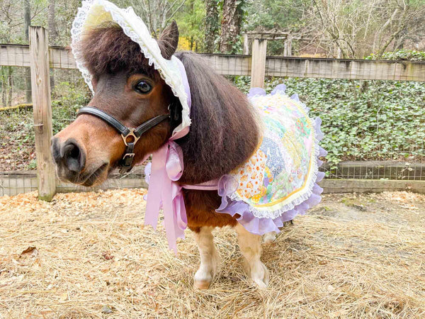 Easter Patchwork Parade - Easter Costume with Classic Bonnet, Ruffled Patchwork Cape and Tail Fascinator for Mini Horse