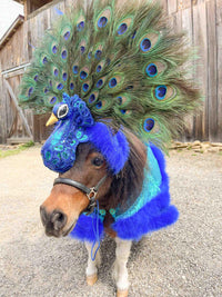 Peacock Paradiso - Feathered Headdress and Cape for Mini Horse