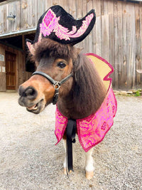 Rosé Rogue Raider - Pirate Costume for Mini Horse with Hat and Swashbuckler Jacket