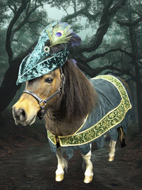 Robin Hoof -  Medieval Outlaw Costume for Mini Horse with Classic Hat and High Gothic Jacket