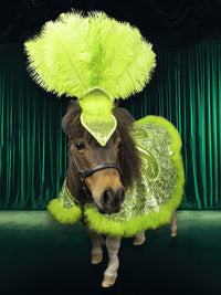 Margarita Glitterati - Feathered Headdress, Cape and Tail Fascinator for Mini Horse