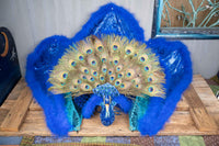 Peacock Paradiso - Feathered Headdress and Cape for Mini Horse