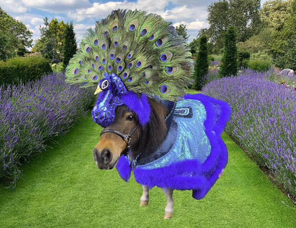 Peacock Paradiso - Feathered Headdress and Cape for Mini Horse