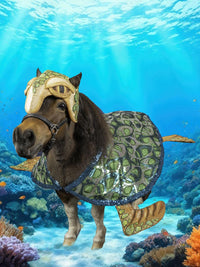 Sea Turtle -  Costume for Mini Horse with Turtle head, Shell, and Flippers