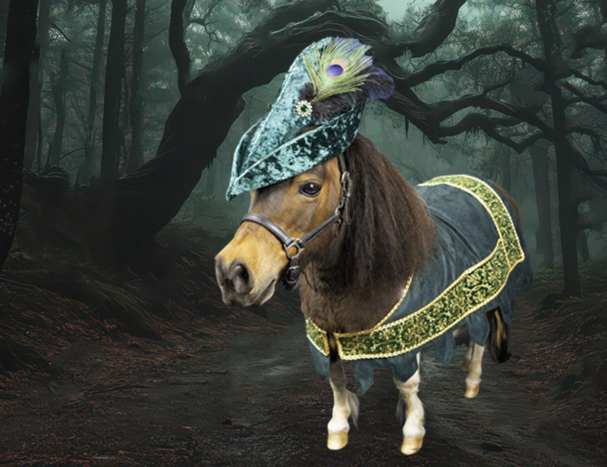 Robin Hoof -  Medieval Outlaw Costume for Mini Horse with Classic Hat and High Gothic Jacket