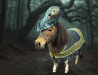 Robin Hoof -  Medieval Outlaw Costume for Mini Horse with Classic Hat and High Gothic Jacket
