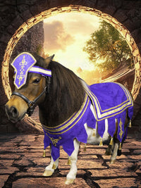 Sir Victor of the Violet Crown - Knight Costume for Mini Horse with Head Band, Tourney Saddle blanket, Chest Piece and Tail Fascinator