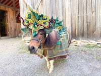 Guardian of the Green - Halloween Fantasy Green Man Costume for Miniature Horse