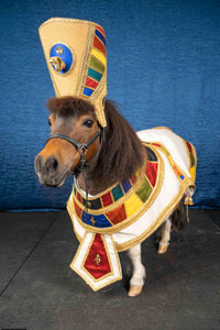 Tiny Tut - Egyptian Pharaoh Costume for Mini Horse