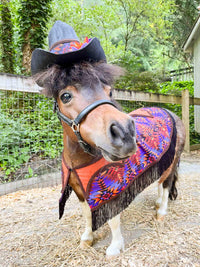 Little Chief - Fancy Cowboy Set with Hat, Fringed Shawl and Tail Fascinator
