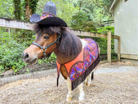 Little Chief - Fancy Cowboy Set with Hat, Fringed Shawl and Tail Fascinator