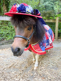 Life and Liberty - Hat and Quilted Cape for Mini Horse