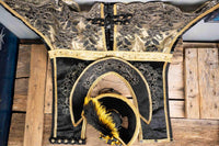 Golden Galleon Rogue - Pirate Costume for Mini Horse with Plumed Hat and Swashbuckler Jacket
