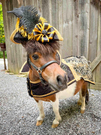Golden Galleon Rogue - Pirate Costume for Mini Horse with Plumed Hat and Swashbuckler Jacket