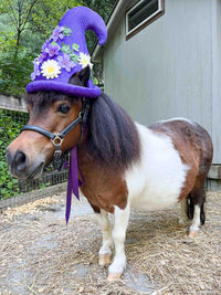 Moonpetal - Gnome Hat for Miniature Horse