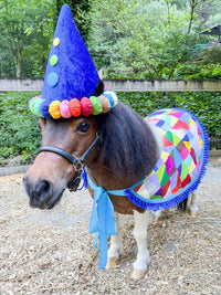 Jolly Time Jester -  Clown Costume for Mini Horse with Hat and Rainbow quilted Saddle Cape